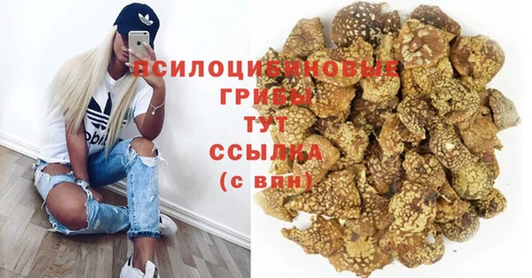 амф Козельск
