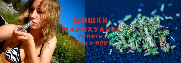 амф Козельск