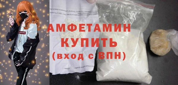 амф Козельск
