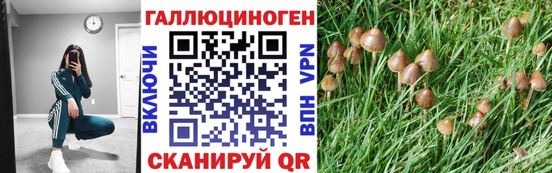 Купить где  Октябрьск  Галлюциногенные грибы Psilocybine cubensis 